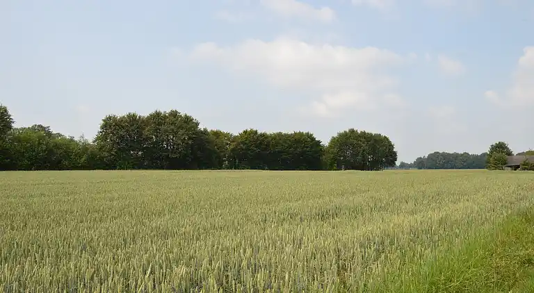 Gårdhus i Geesteren