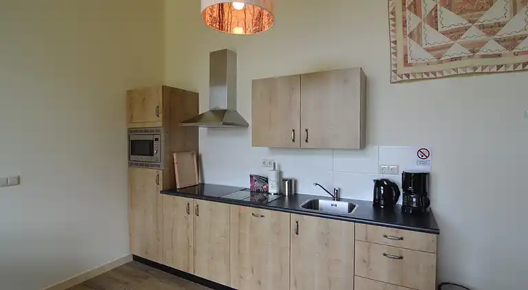 Farm house in Geesteren