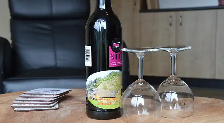 Farm house in Geesteren