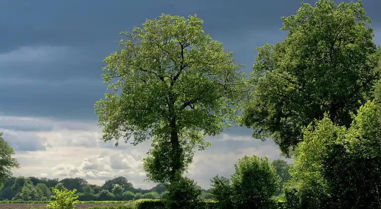 Gårdhus i Geesteren