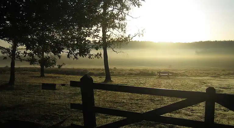 Sommerhus i Hoenderloo