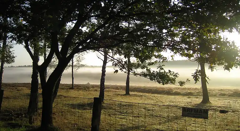 Sommerhus i Hoenderloo