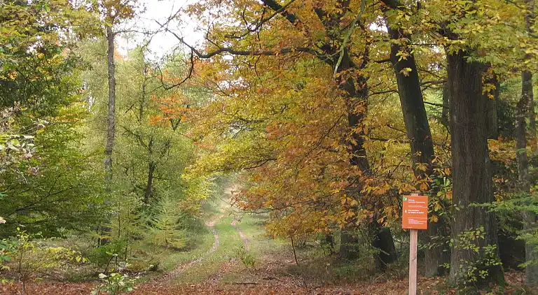 Bungalow in Hoenderloo