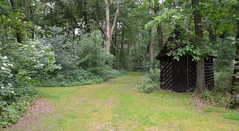 Holiday home in Hellendoorn