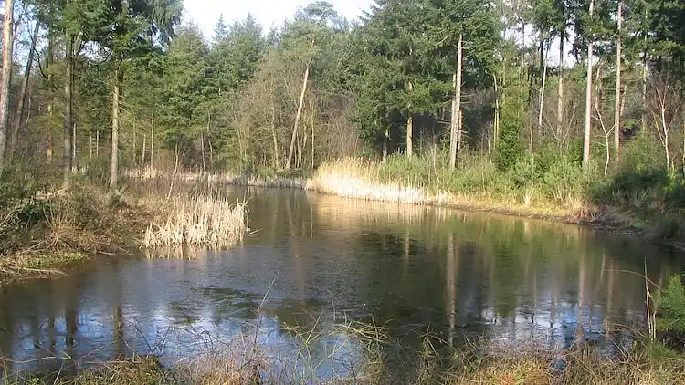 Holiday home in Hellendoorn