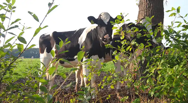 Holiday home in Hellendoorn