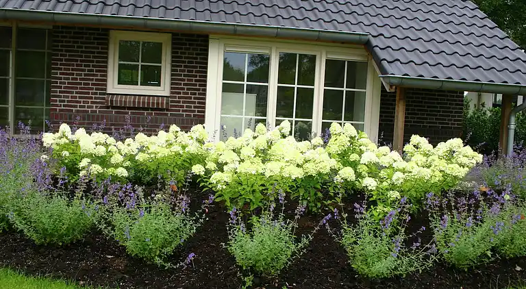 Villa in Hellendoorn