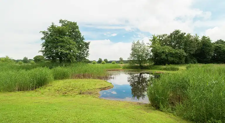 Farm house in Markelo