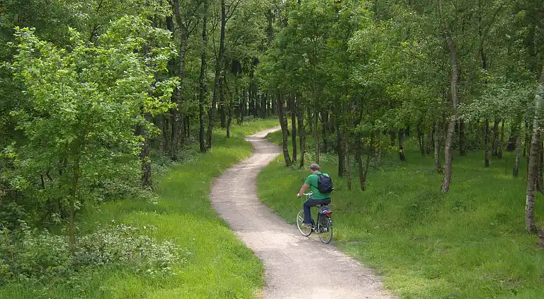 Farm house in Markelo