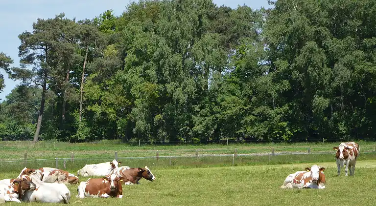Holiday home in Haaksbergen