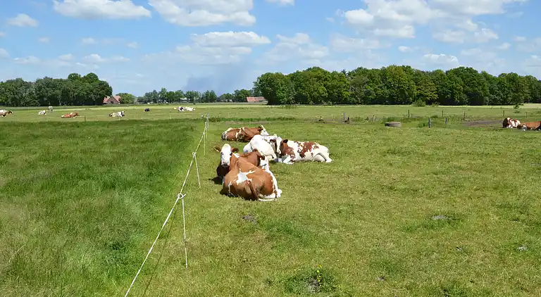 Lägenhet i Haaksbergen
