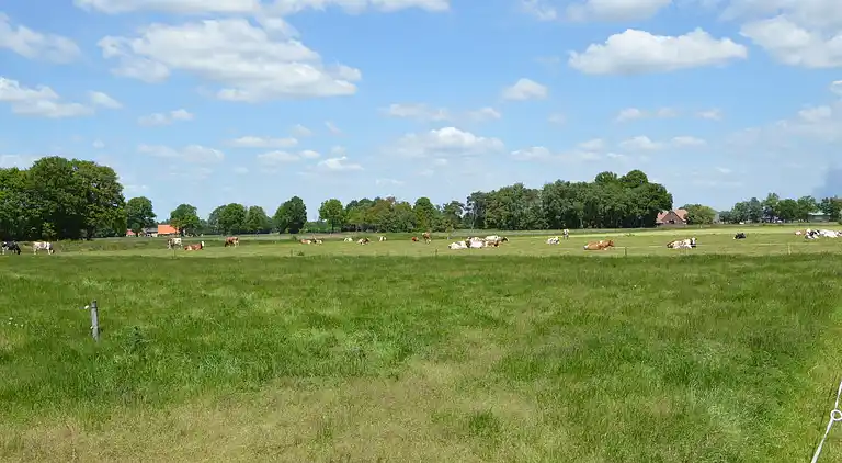 Bondgård i Haaksbergen