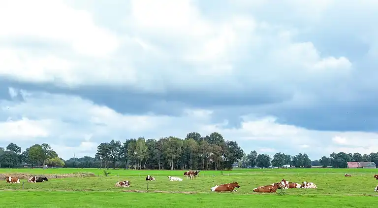 Bondgård i Haaksbergen