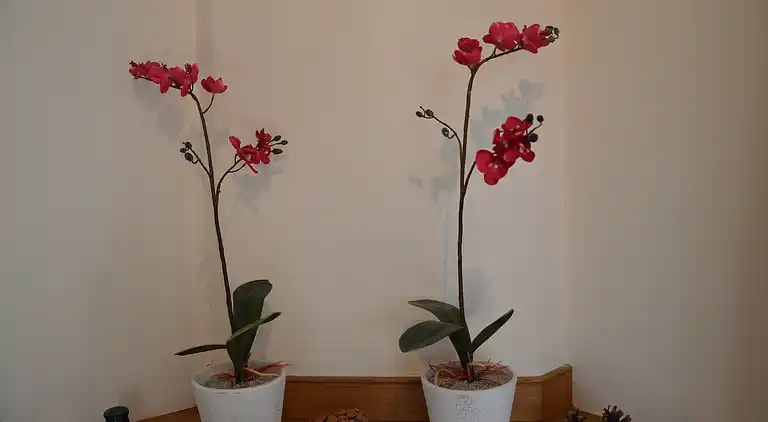 Bungalow in Ambt Delden