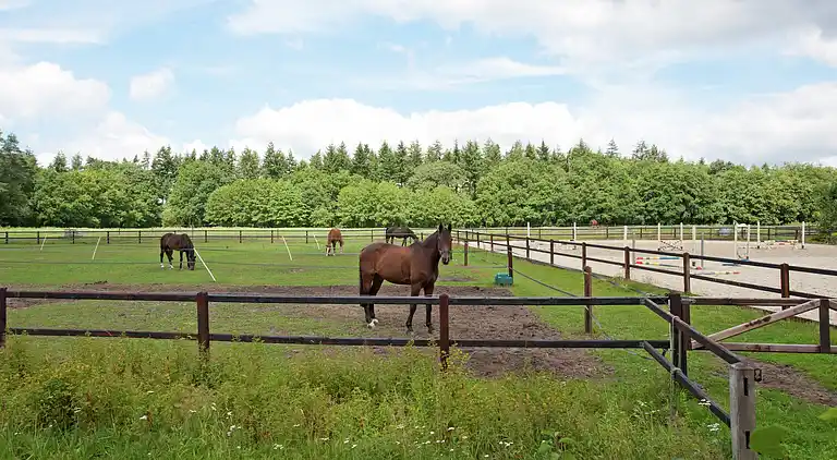 Herrgård i Deurningen