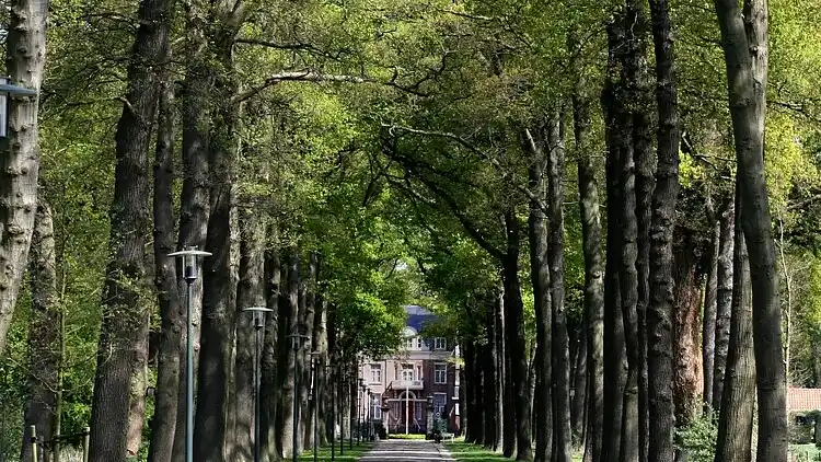 Holiday home in Denekamp