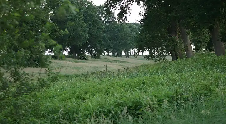 Cottage in Ootmarsum