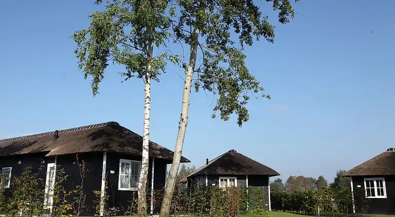 Feriebolig i Hoge Hexel