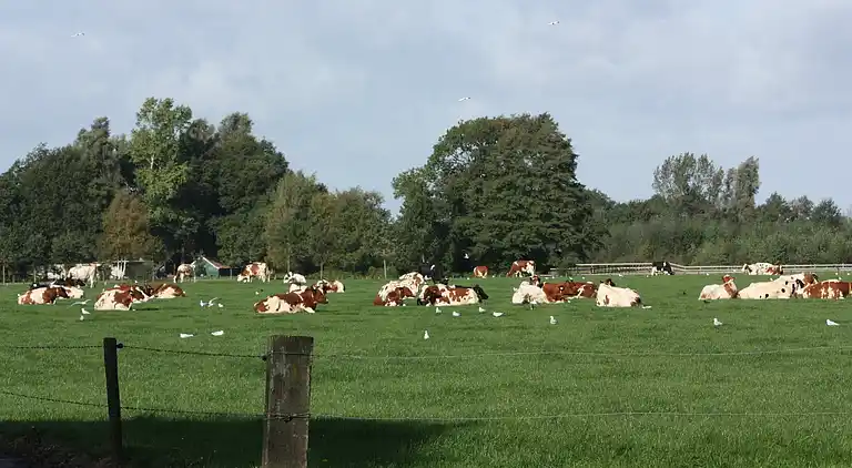 Holiday home in Geesteren