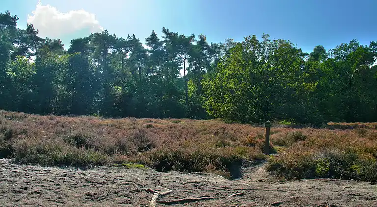 Vakantiehuis in Den Ham