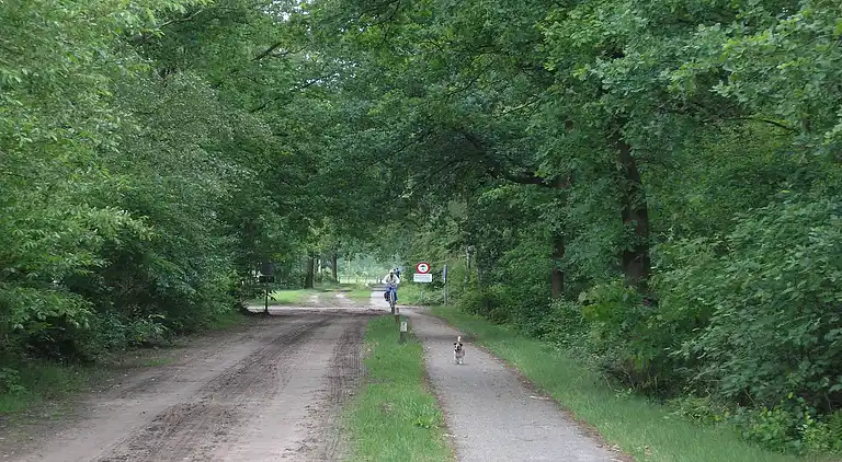 Vakantiehuis in Den Ham