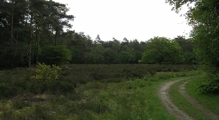 Vakantiehuis in Den Ham