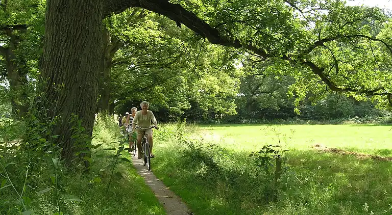 Vakantiehuis in Den Ham