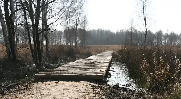 Vakantiehuis in Den Ham