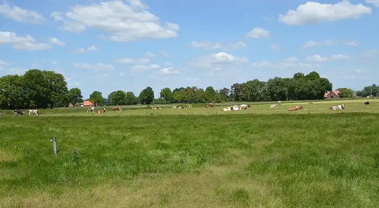 Vakantiehuis in Den Ham