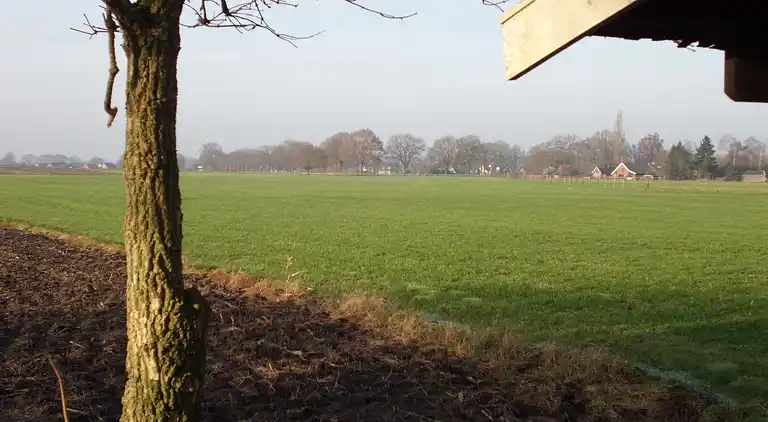 Vakantiehuis in Den Ham