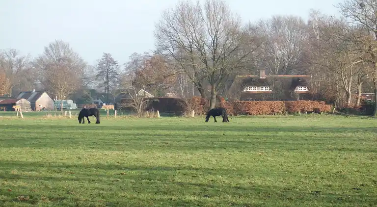 Vakantiehuis in Den Ham