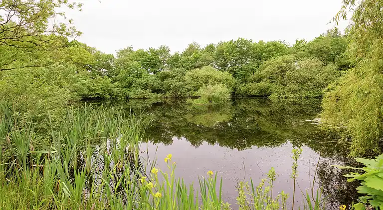 Farm house in Balkbrug