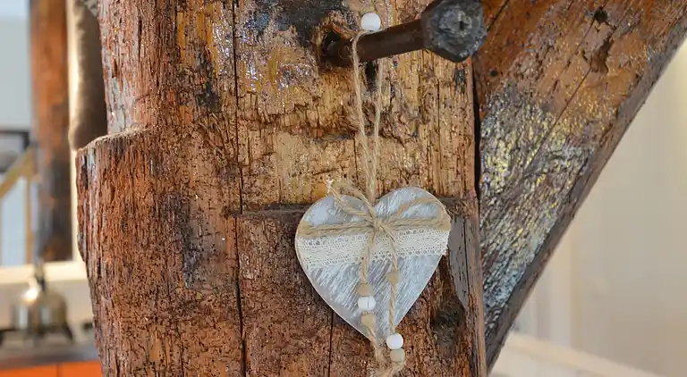 Farm house in Balkbrug