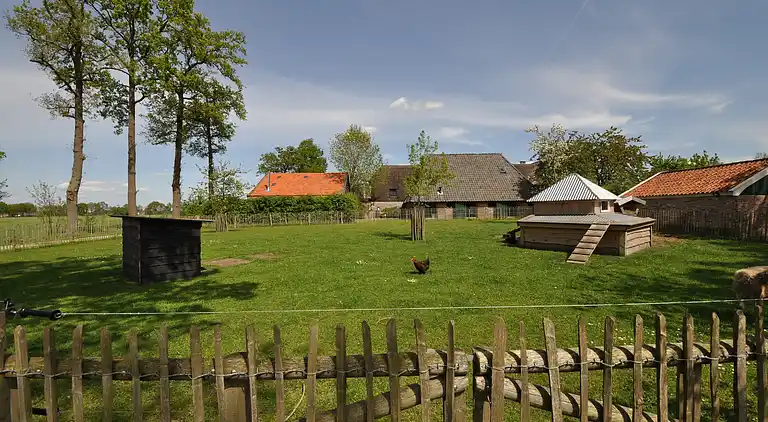 Bondgård i Nieuwleusen