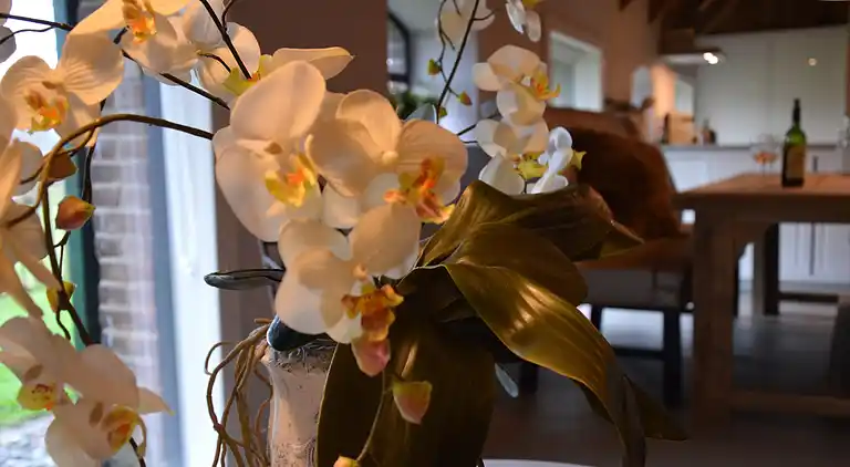 Bondgård i Nieuwleusen