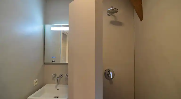 Bondgård i Nieuwleusen