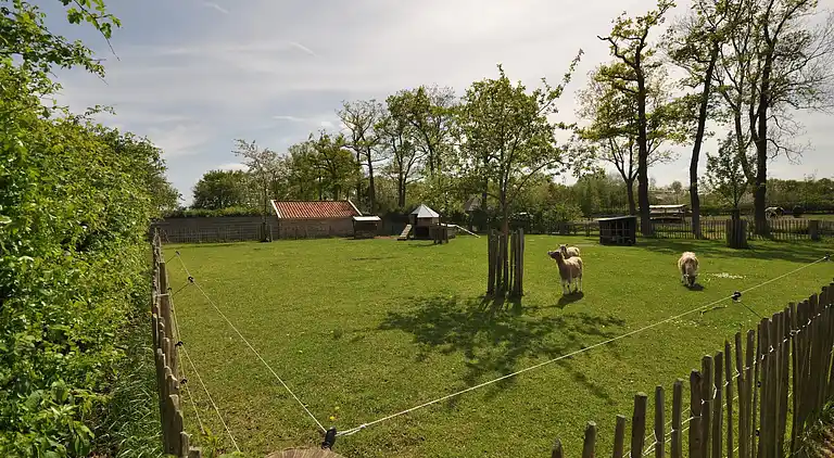 Bondgård i Nieuwleusen