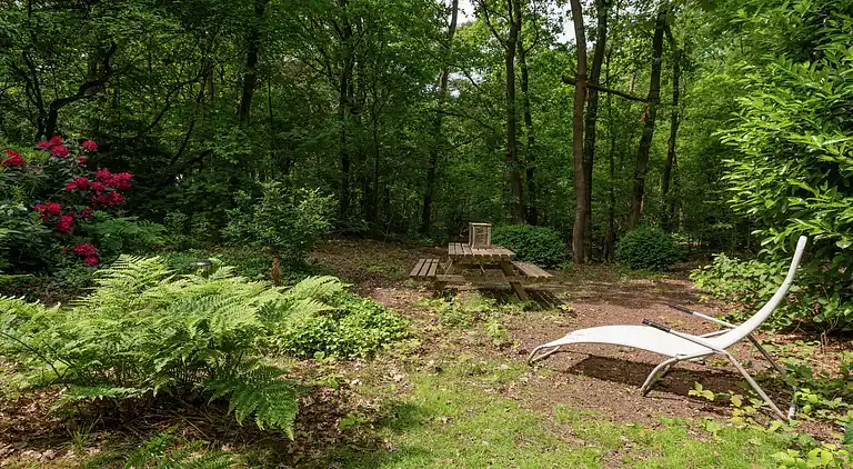 Holiday home in Dalfsen