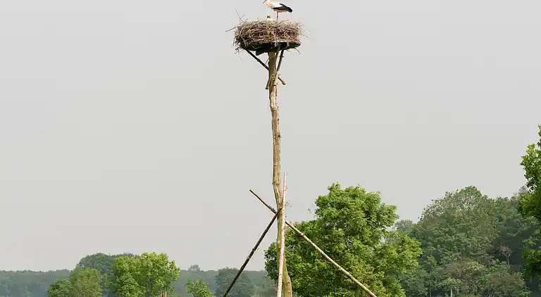Holiday home in Dalfsen