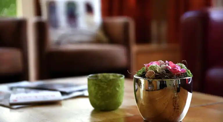 Semesterbostad i Dalfsen