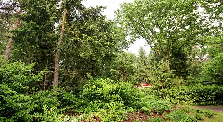 Vakantiehuis in Arrien