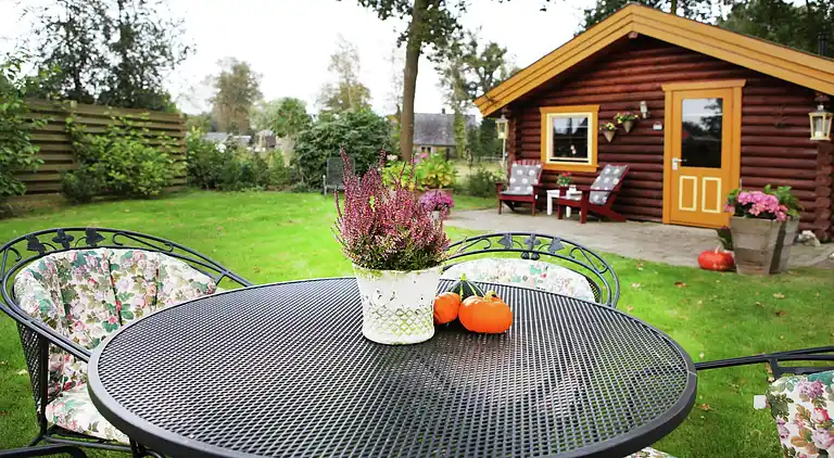 Cottage in Gramsbergen