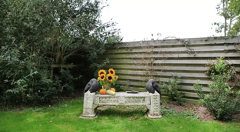 Cottage in Gramsbergen