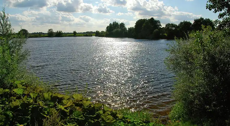 Cottage in Gramsbergen