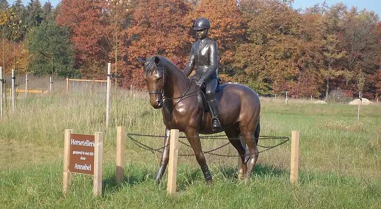 Holiday home in Rheezerveen