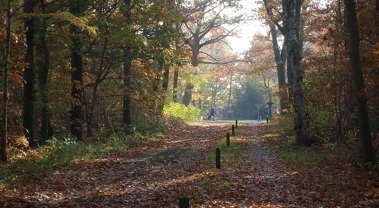 Holiday home in Rheezerveen