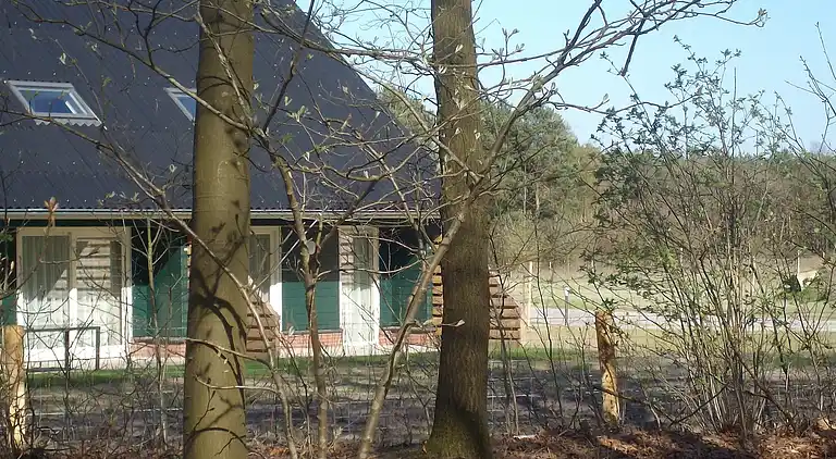 Semesterbostad i Rheezerveen