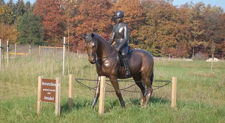 Semesterbostad i Rheezerveen