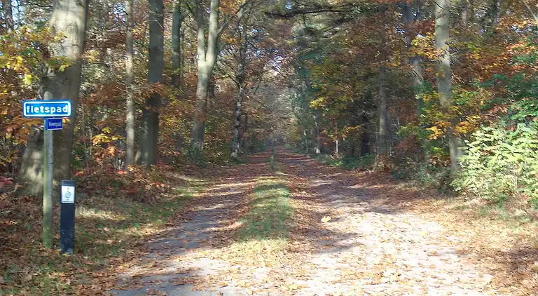 Semesterbostad i Rheezerveen