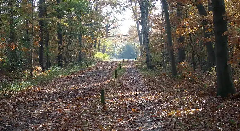 Semesterbostad i Rheezerveen